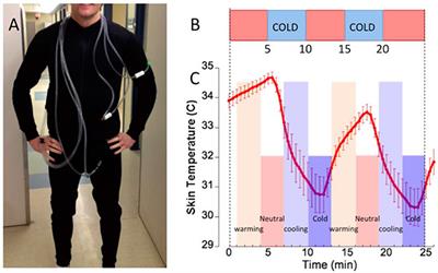 Regulation of Brown Adipose Tissue Activity by Interoceptive CNS Pathways: The interaction between Brain and Periphery